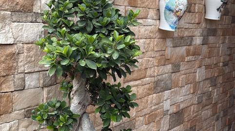 Photo 4 of House or chalet for sale in Orxeta, Alicante