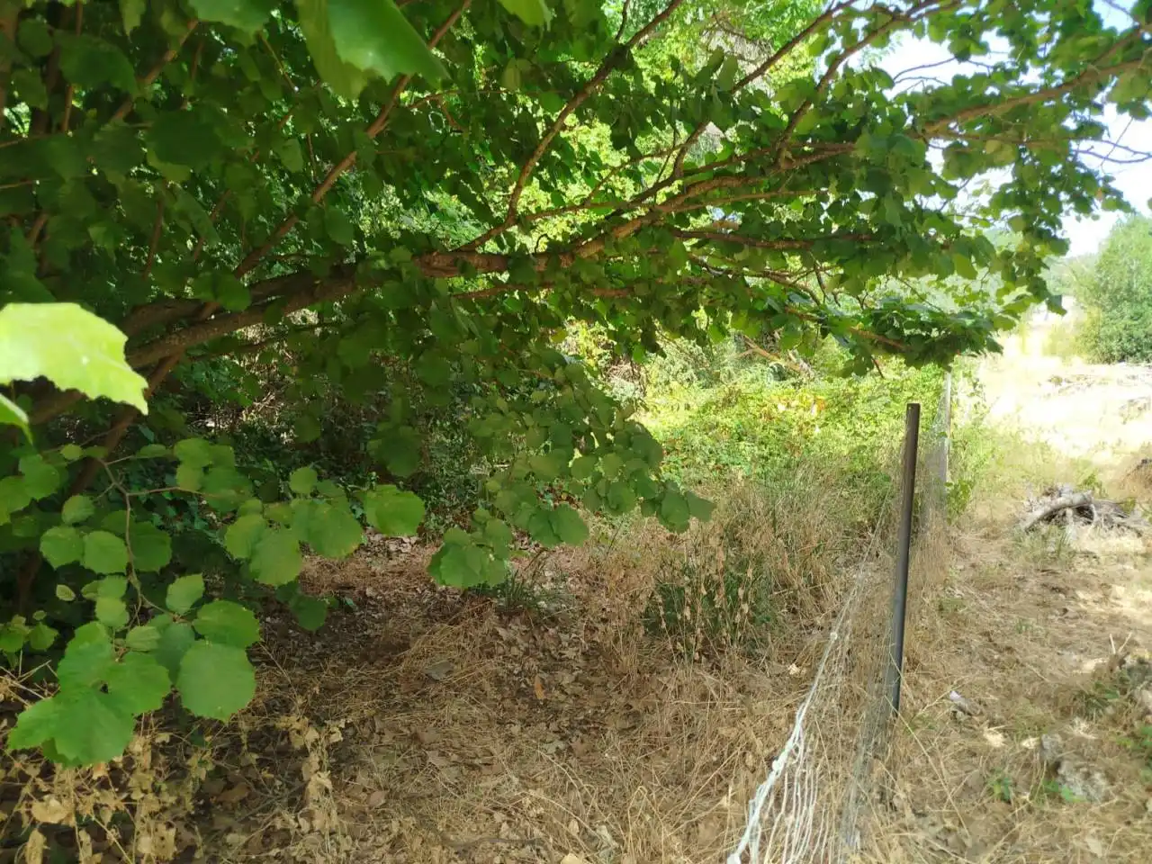 Casa o xalet en venda en Ruidera amb Jardí privat