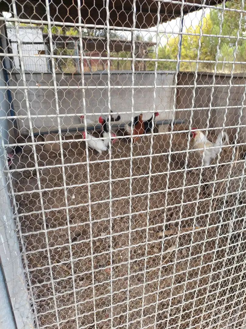 Terreni e lotti in vendita a Santa Cruz del Retamar pueblo, imagen 23