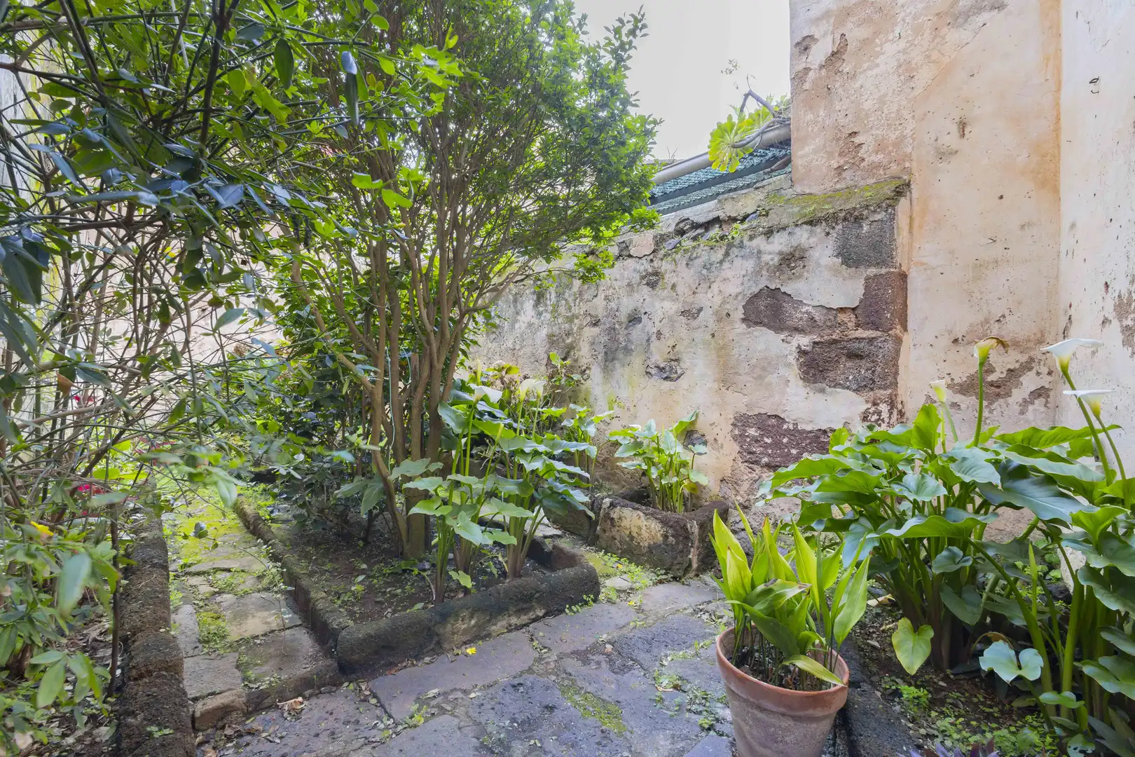 Casa o chalet en venta en San Cristóbal de la Laguna, Santa Cruz de Tenerife