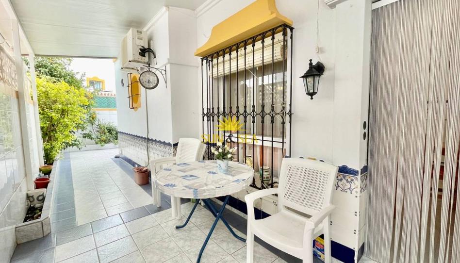 Photo 1 of House or chalet to rent in Los Balcones - Los Altos, Alicante