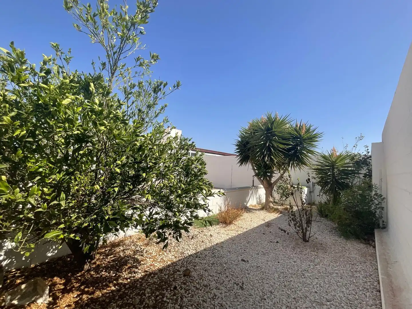 Jardín de Casa o chalet en venta en Almería con Jardín privado, Terraza y Trastero