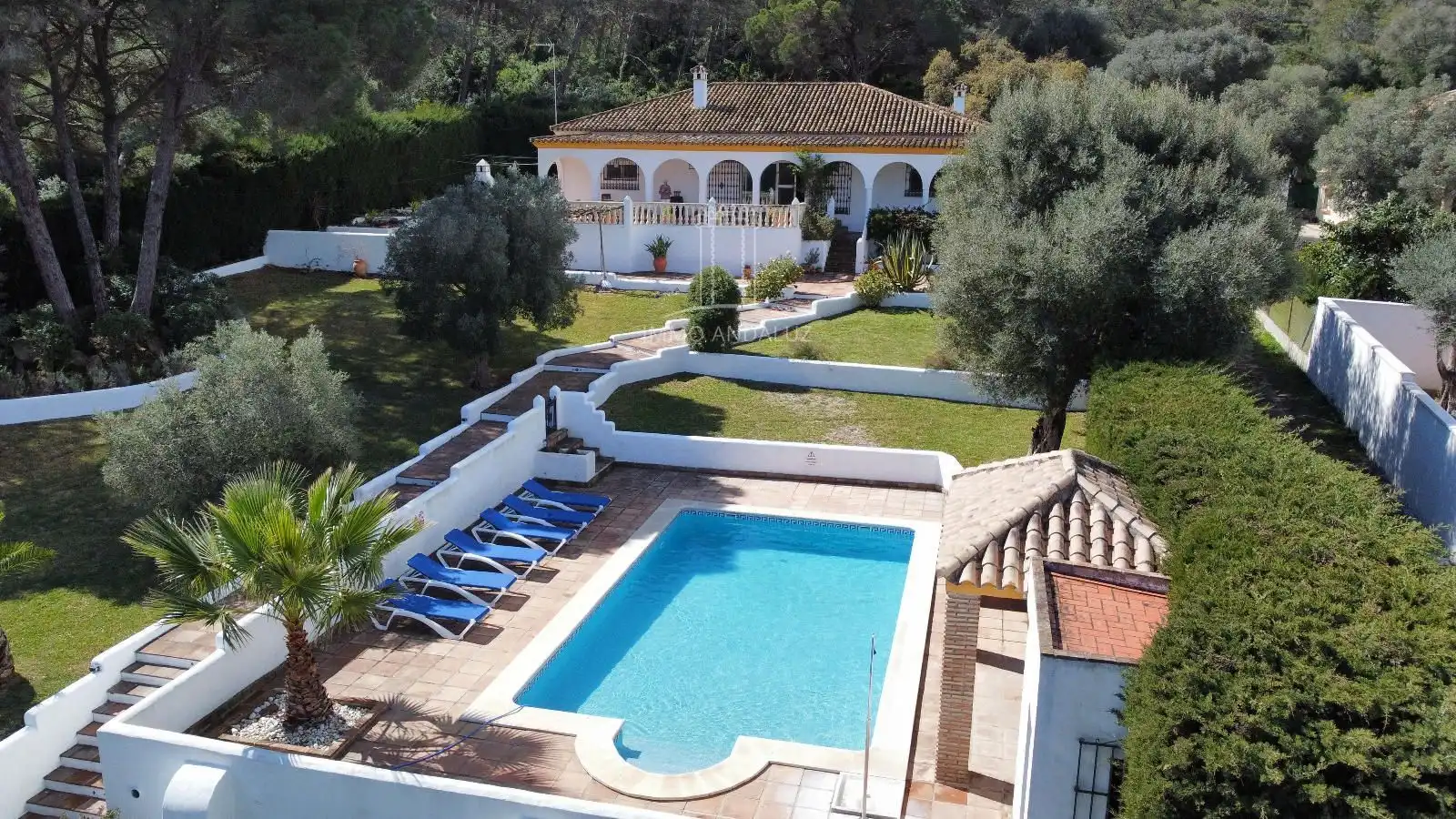 Jardí de Casa o xalet en venda en Vejer de la Frontera amb Aire condicionat i Piscina