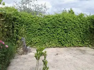 Terreno en venta en Piedrabuena