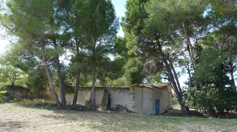 Foto 5 de Finca rústica en venda a Albaida, Valencia