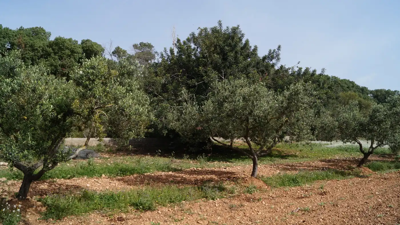 Terreno en venta en Torredembarra