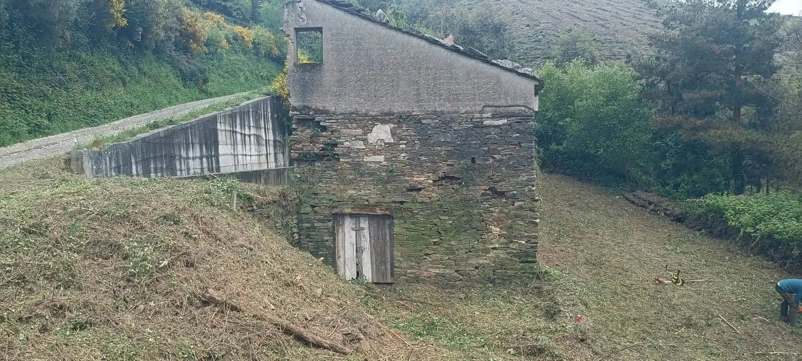 Vista exterior de Finca rústica en venta en Vegadeo