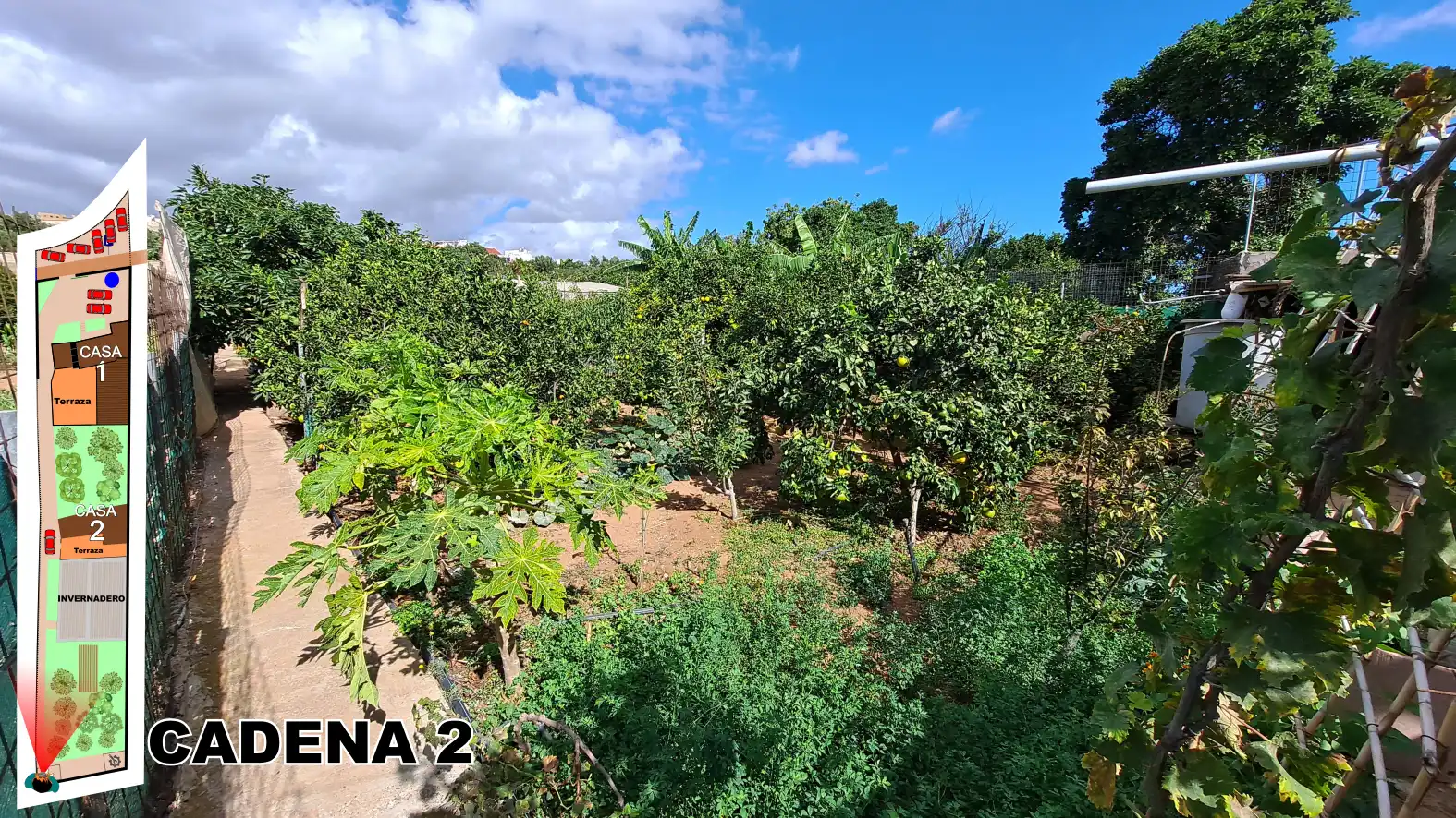 Finca rústica en venta en Ingenio con Terraza, Horno y TV