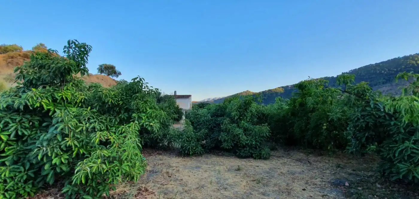 Casa rústica en venda a Yunquera