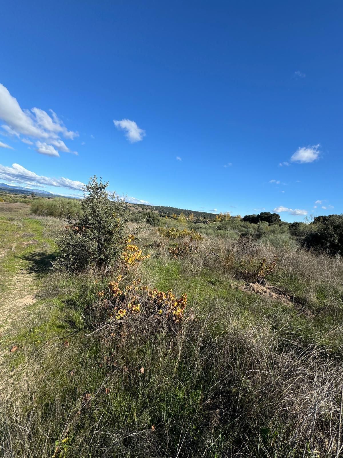 Terreno en venta en  Madrid Capital