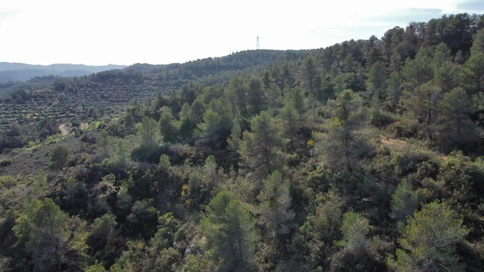 Terreno rustico in vendita a Cervià de Les Garrigues, imagen 29