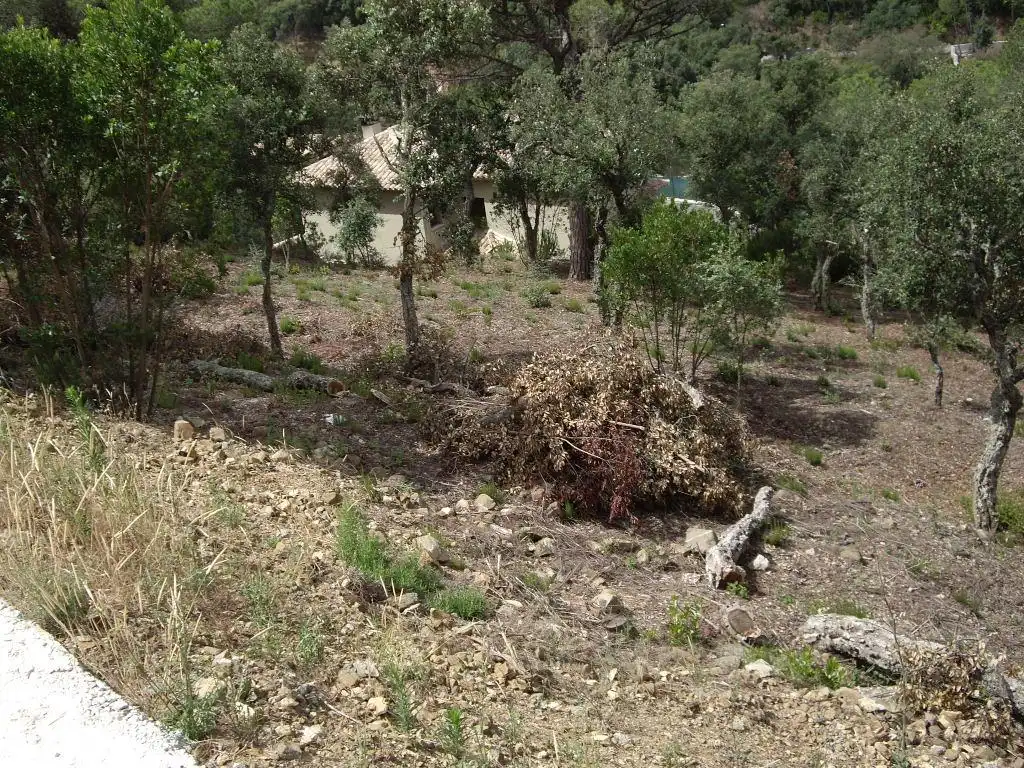 Terrain résidentiel à vendre à Alzina, imagen 6