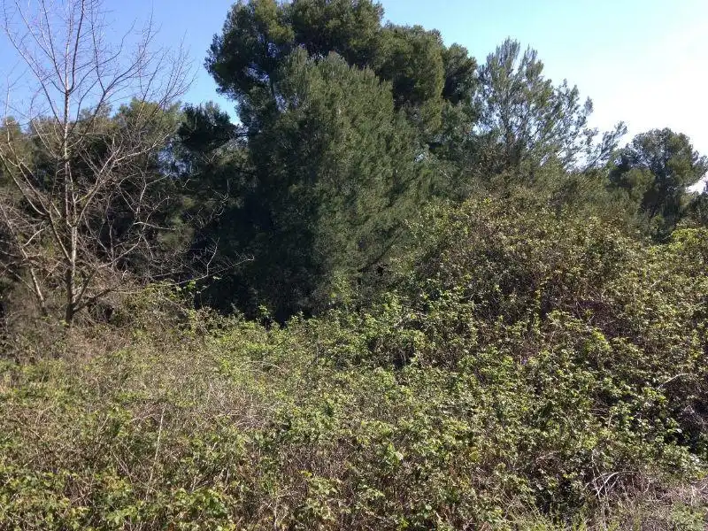 Terreno residencial en venta en Carrer Cirerer, imagen 3