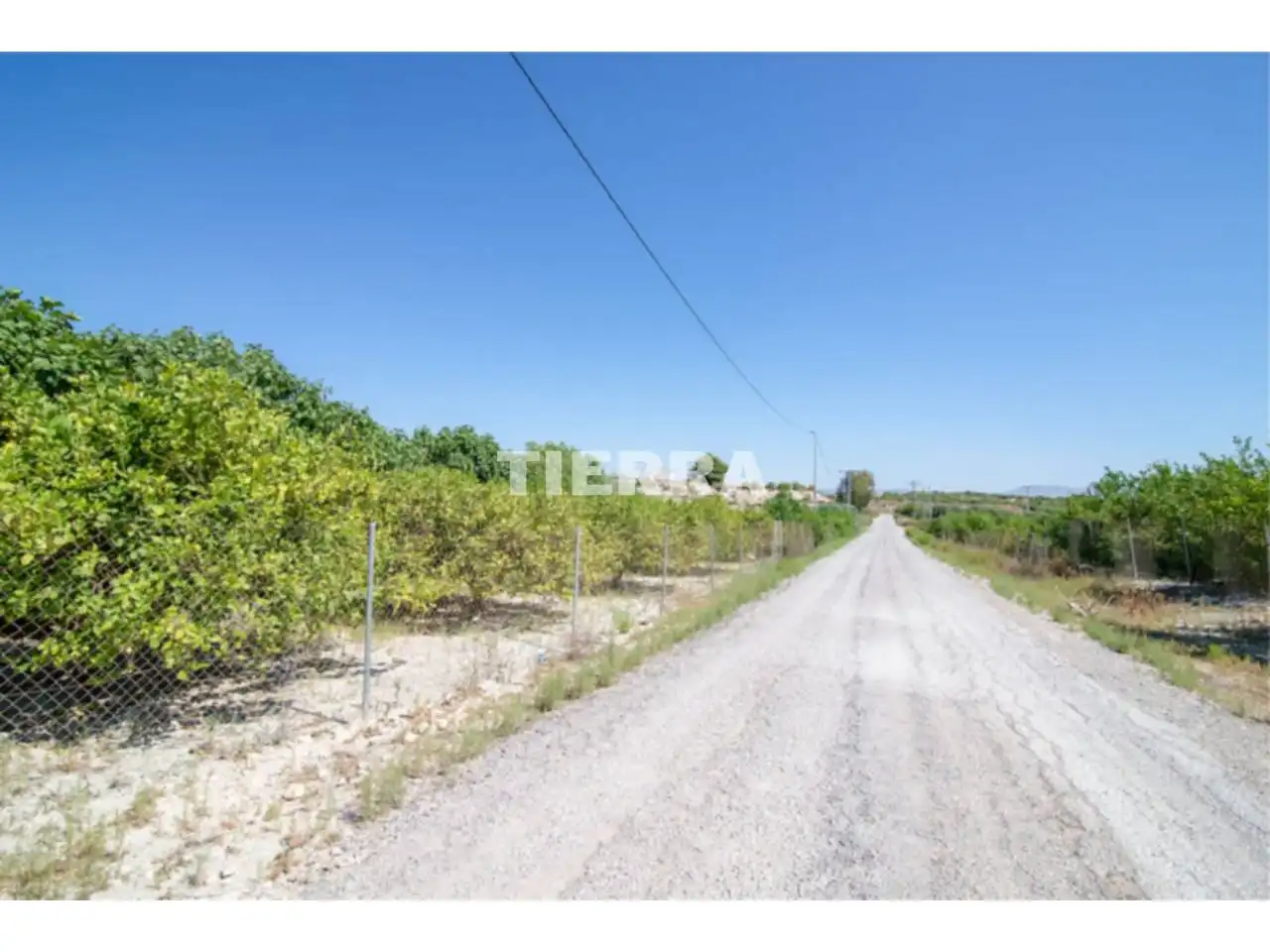 Lands and plots for sale in Poligono El Semolilla, imagen 25