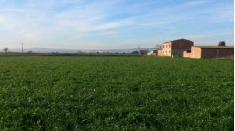 Photo 3 of Land for sale in Cl Parcela, Movera,  Zaragoza Capital