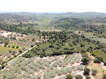 Terreno rústico en venta en Cervera del Maestre