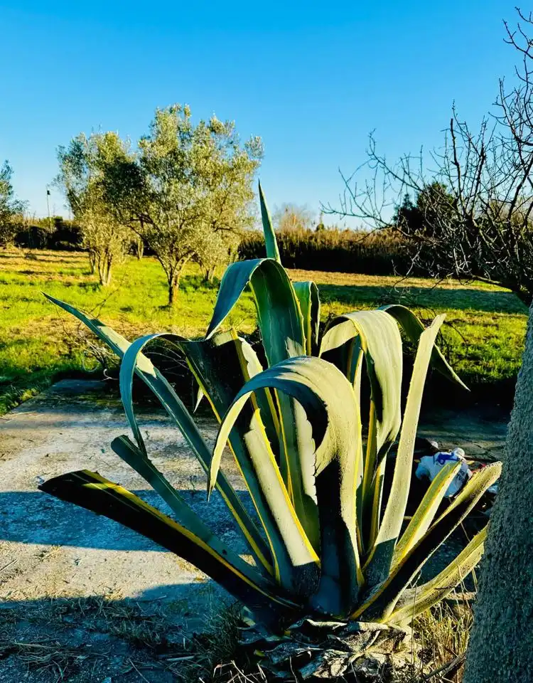 Jardín de Finca rústica en venta en Tudela con Jardín privado