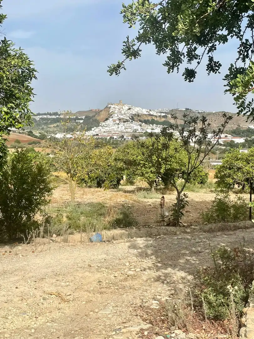 Terreni e lotti in vendita a Arcos de la Frontera, imagen 30