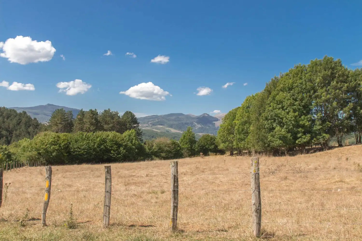 Country house for sale in Etxarriko Bordak, imagen 34