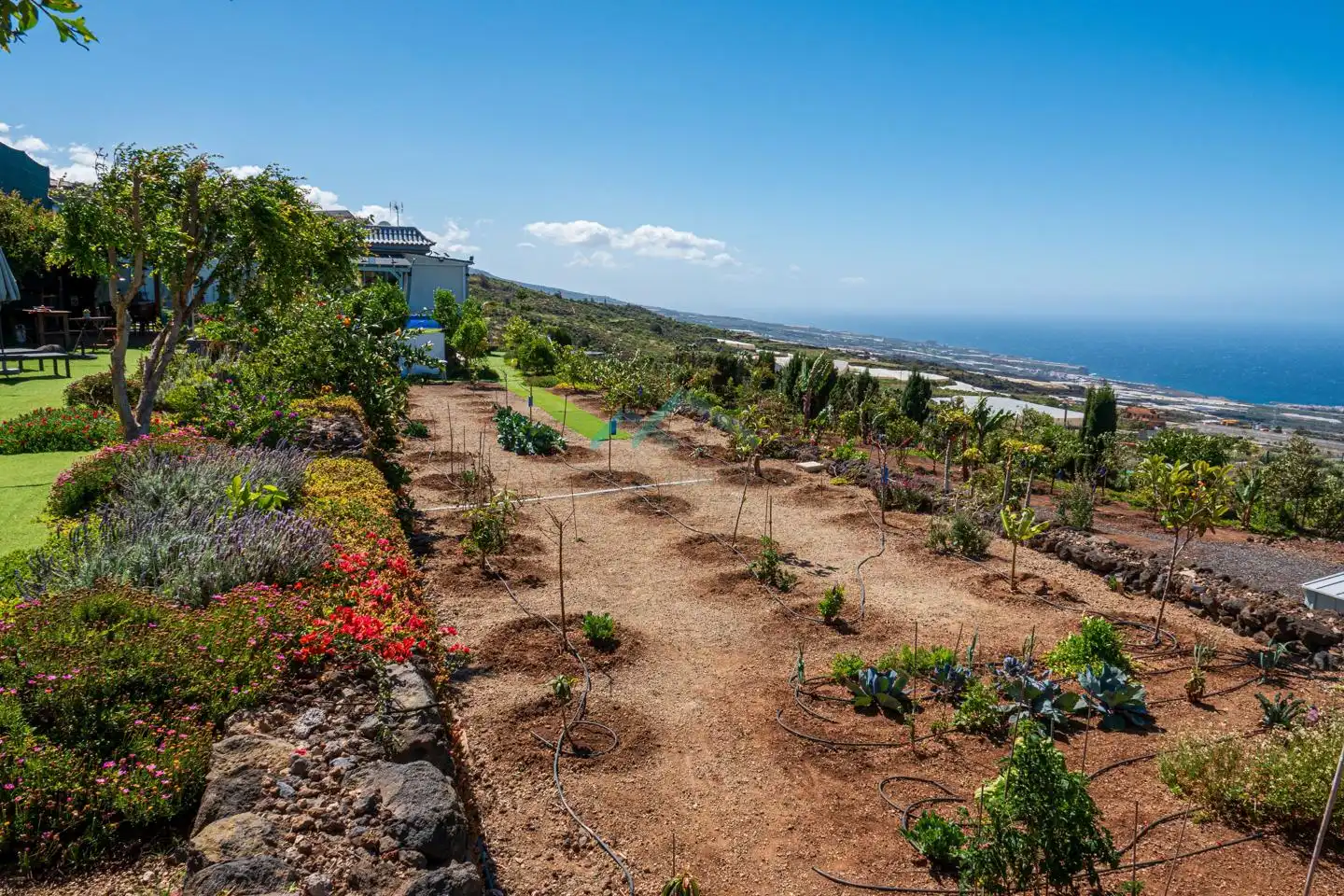 Garden of Country homes for sale in Guía de Isora