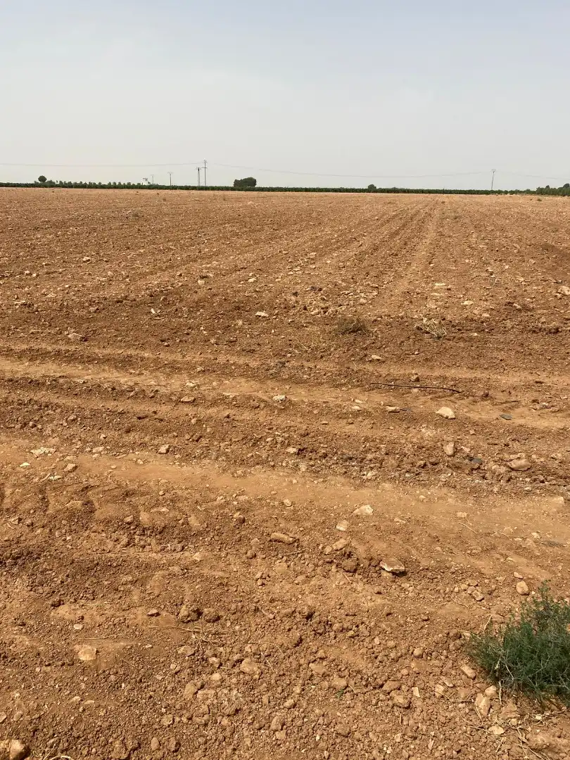 Rural land for sale in Calle Juan de Zúñiga, imagen 15