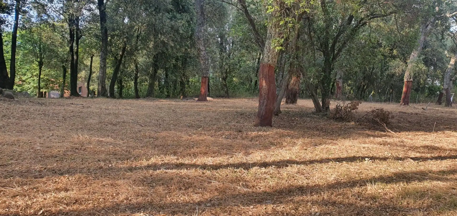 Terreno residencial en venta en Montsoriu Sortida 167, imagen 4