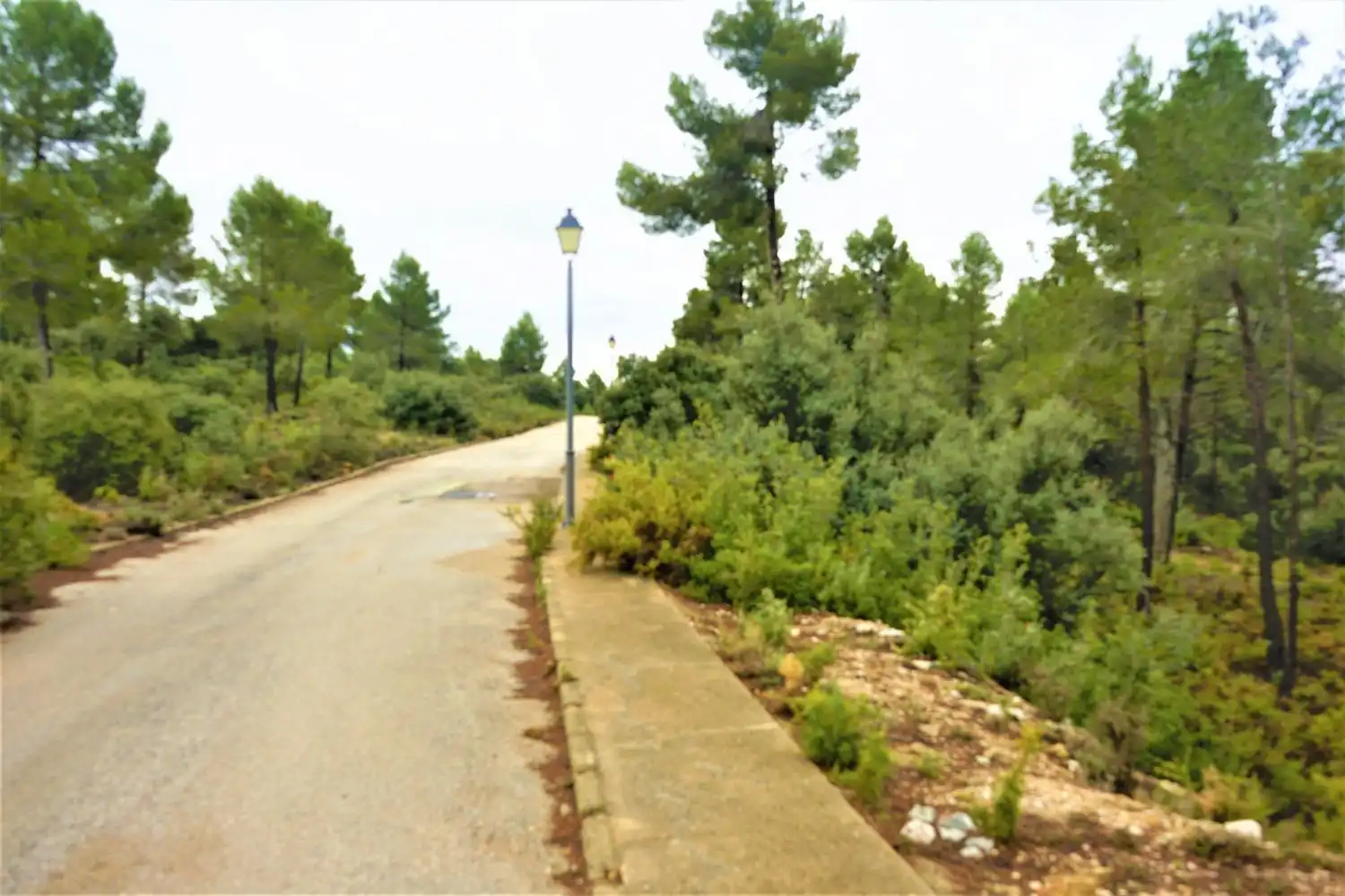 Terreno rústico en venta en Calleja Hontanar 78, imagen 17