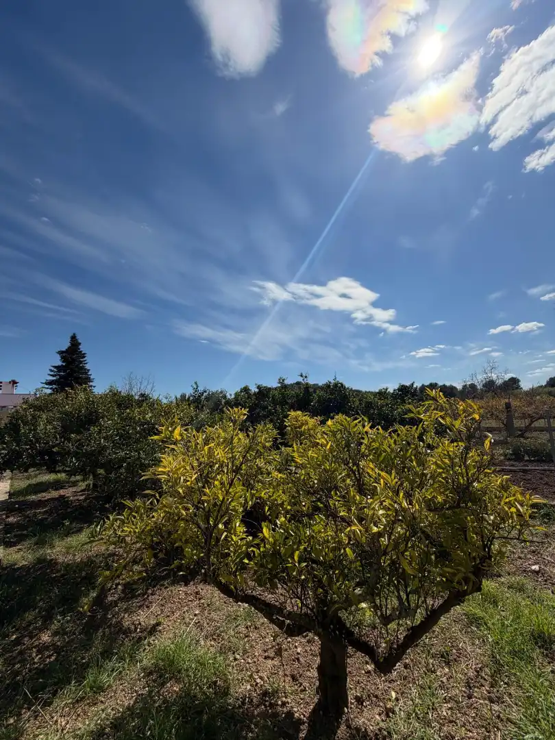 Casa o xalet en venda en Ulldecona amb Jardí privat i Terrassa