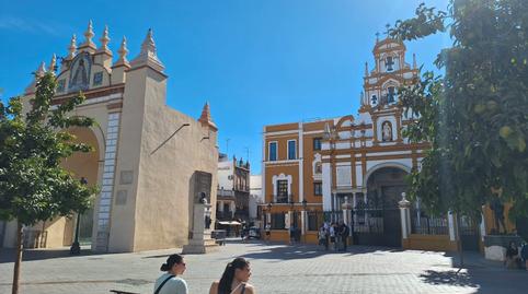 Foto 3 de Pis en venda a Calle Torrijiano, 1, Doctor Barraquer - G. Renfe - Policlínico, Sevilla