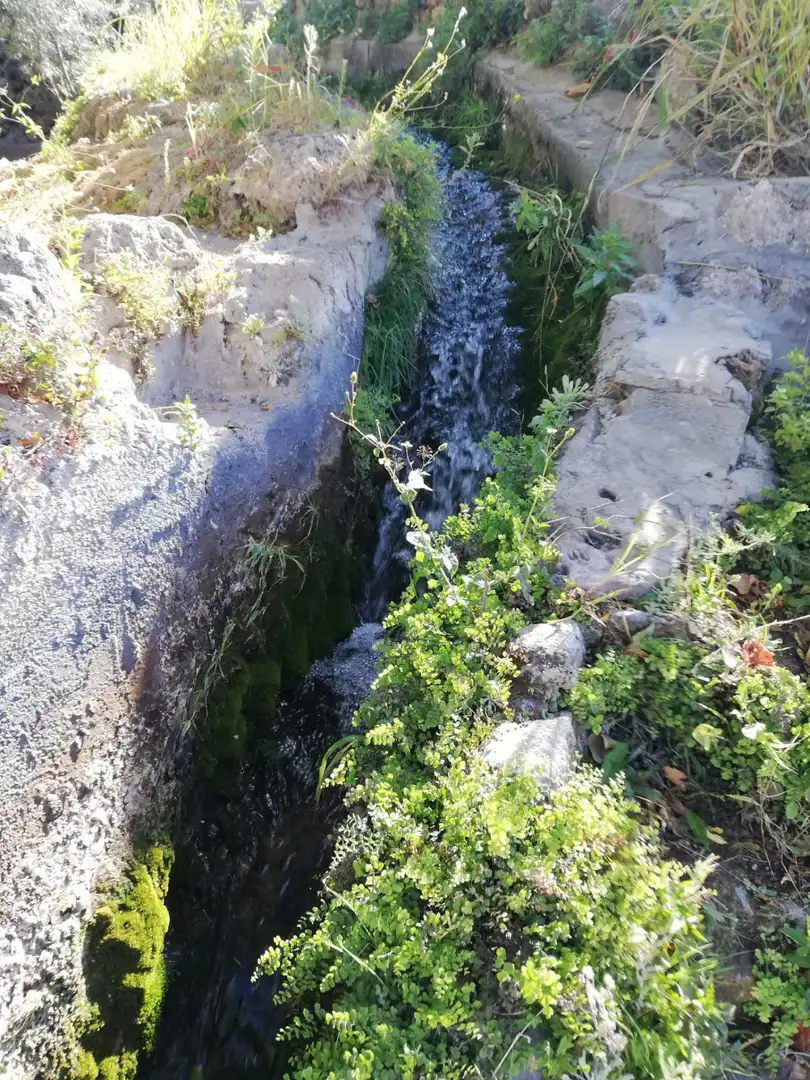 Casa rústica amb jardí en venda a Vélez de Benaudalla, imagen 25