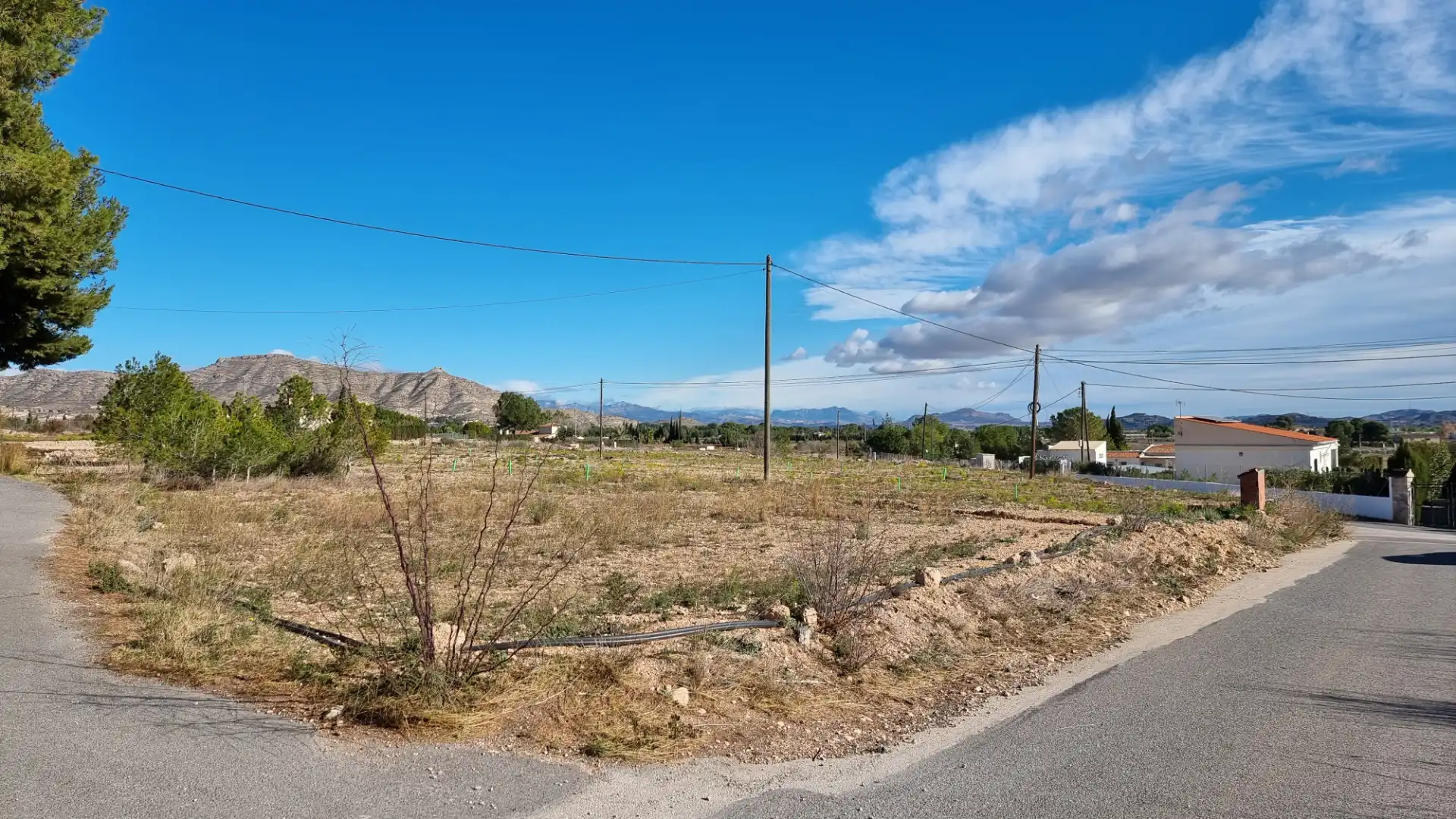 Land for sale in Aspe