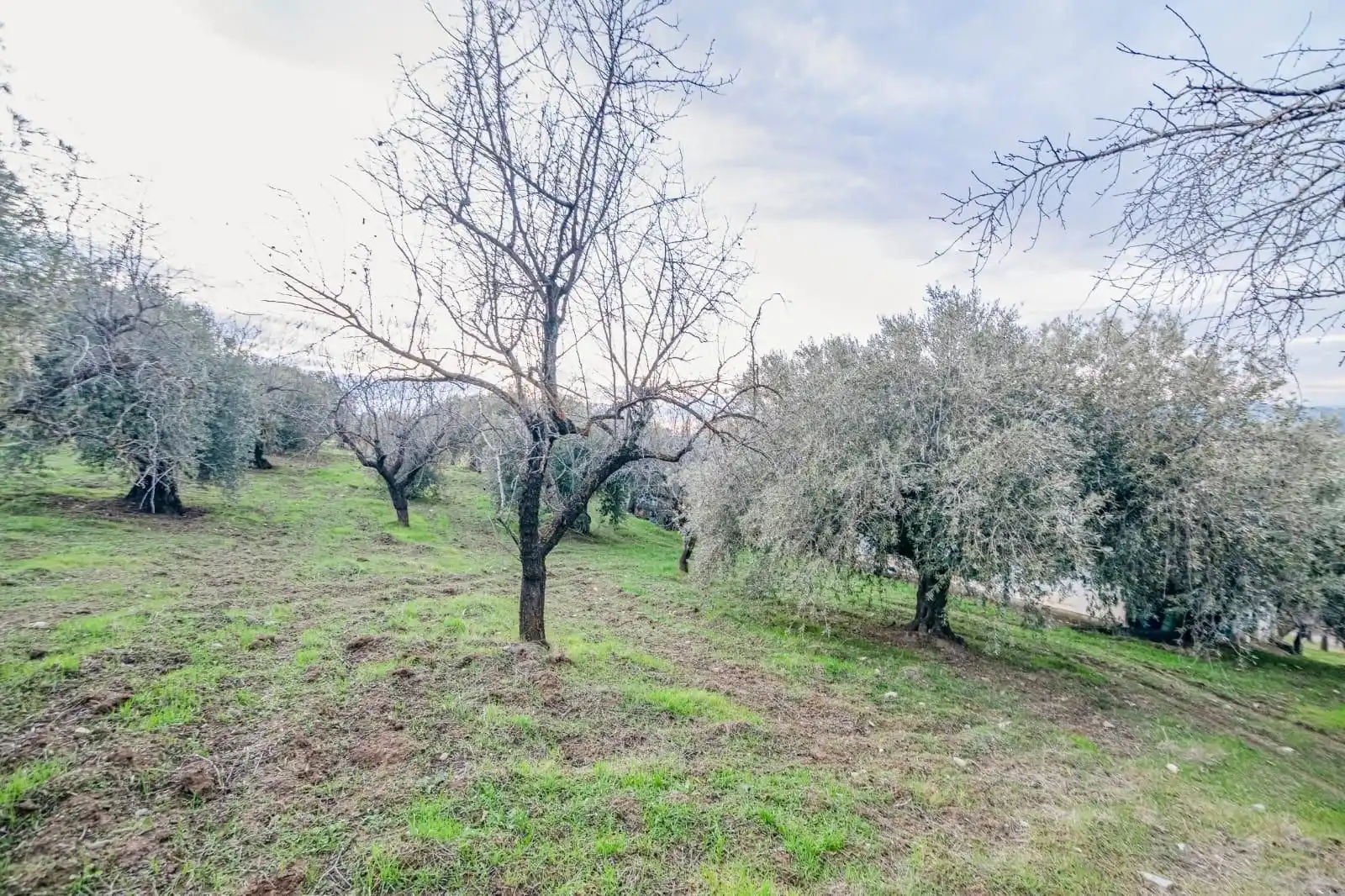 Mini appartamento in vendita a Pinos Genil, imagen 10