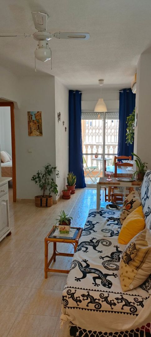 Menjador de Estudi de lloguer en Torrevieja amb Moblat i Piscina comunitària