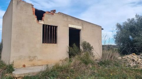 V14733 FINCA CON ALMACÉN PARA RESTAURAR, immagine 4