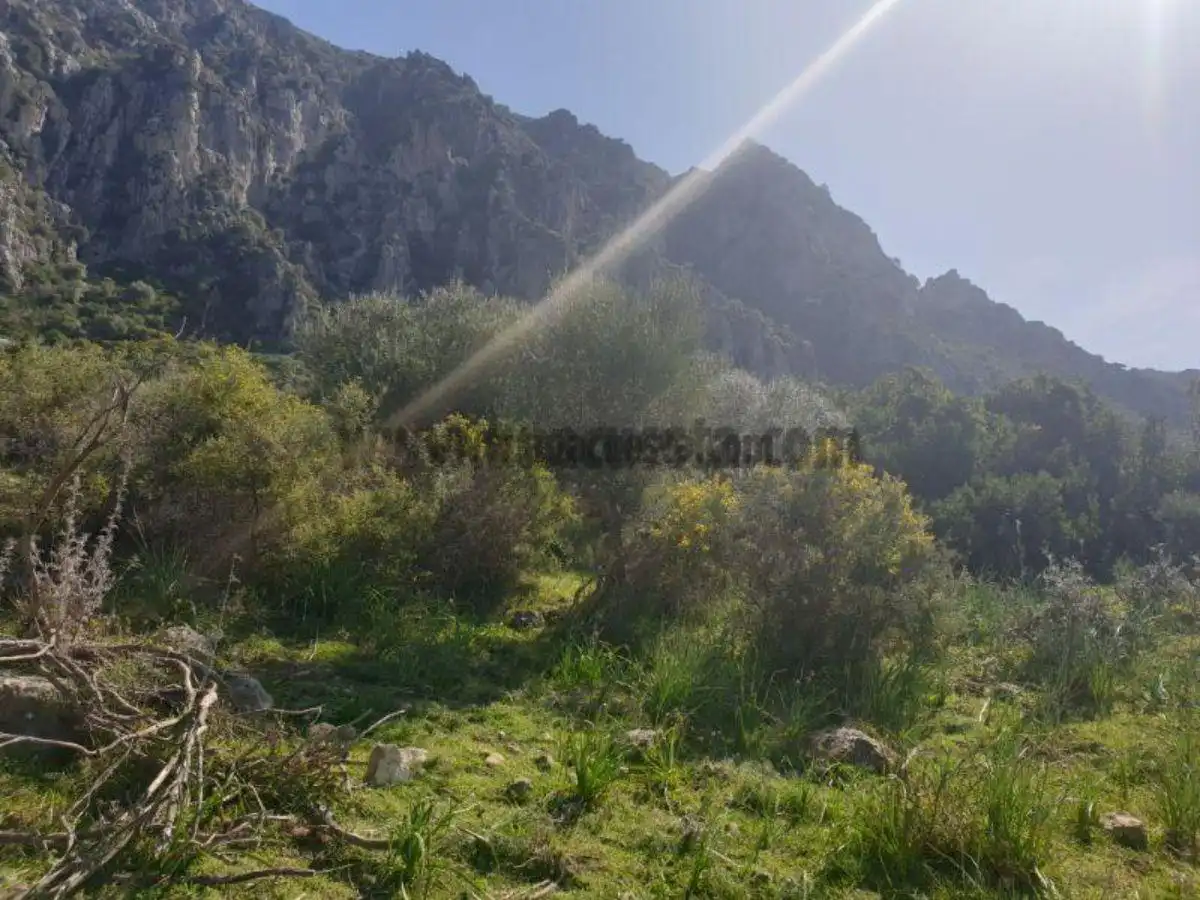 Residencial en venda a Casares, Málaga