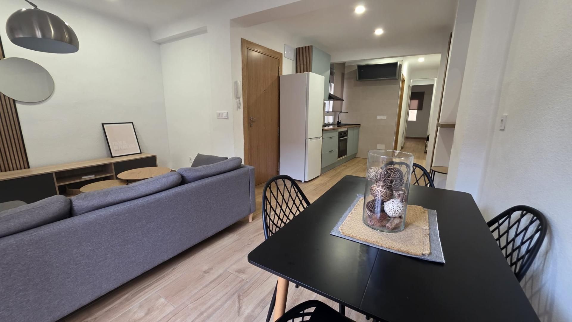 Sala d'estar de Pis de lloguer en Elche / Elx amb Moblat i Balcó