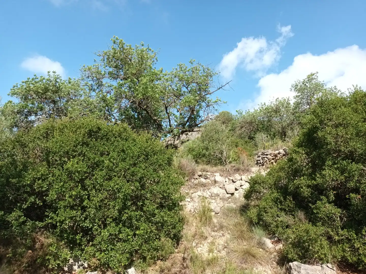 Terreno en venta en Benigànim
