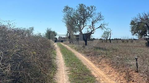 Photo 4 of Premises to rent in Zona Rústica - Interior, Illes Balears