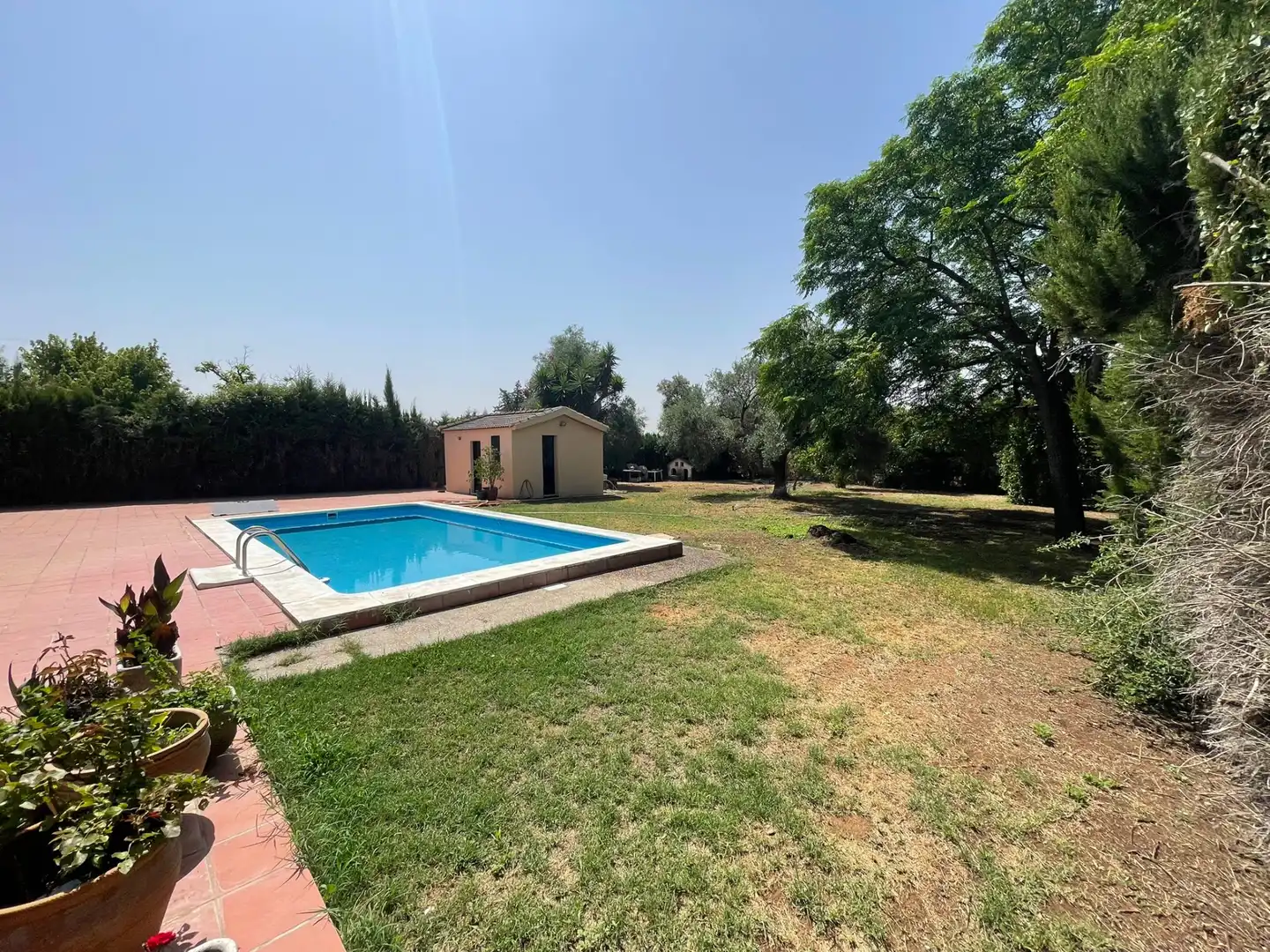 Piscina de Casa o chalet en venta en Palomares del Río con Jardín privado, Piscina y Amueblado