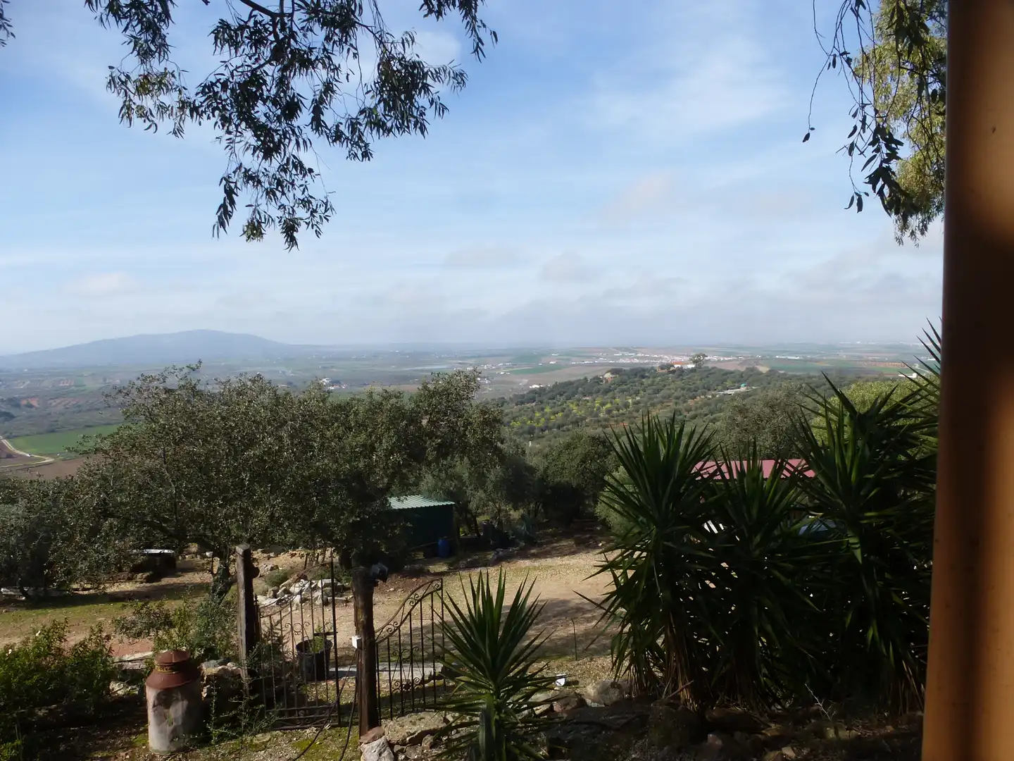 Garden of Land for sale in La Haba 