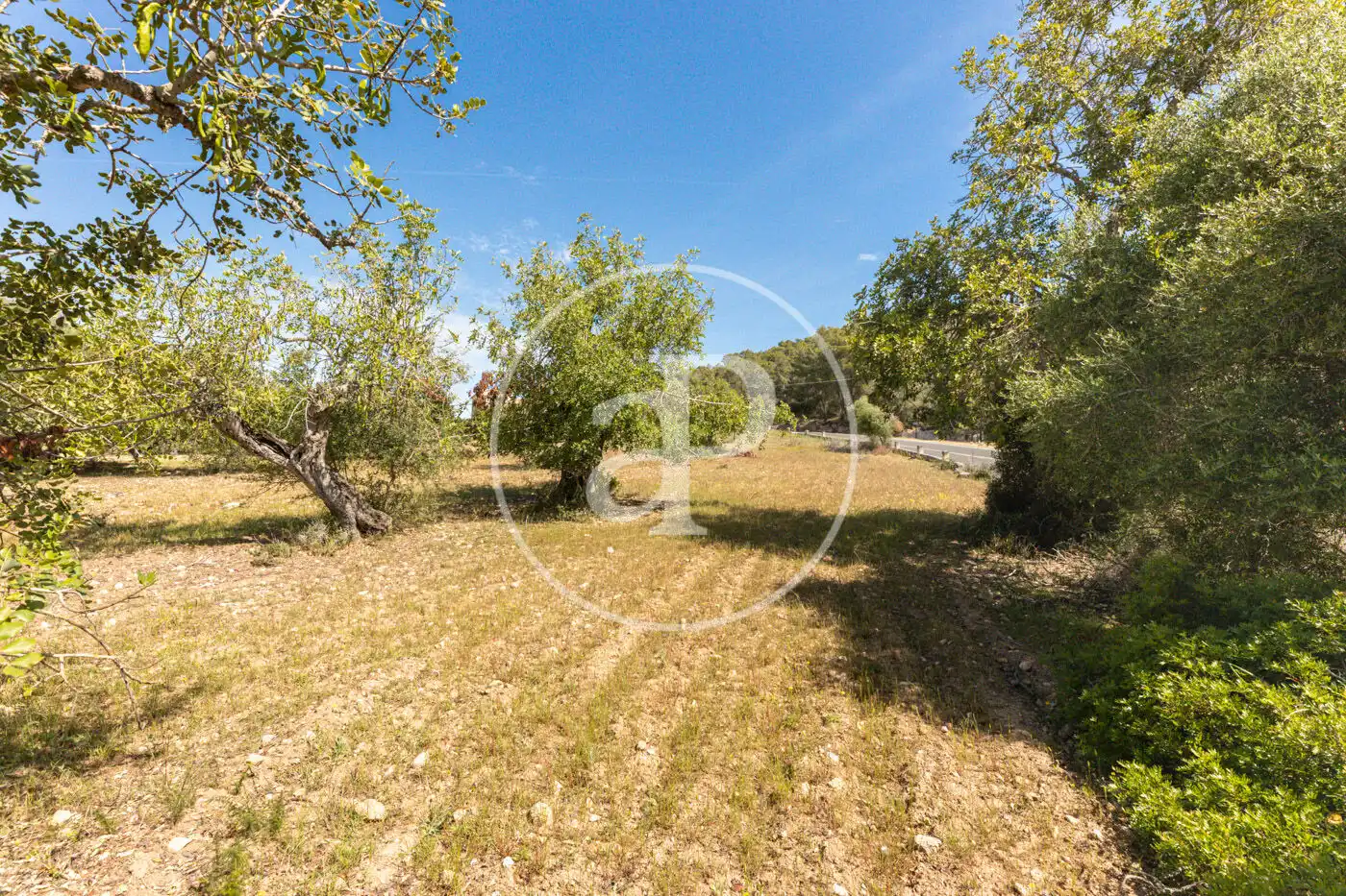 Residencial en venta en Felanitx