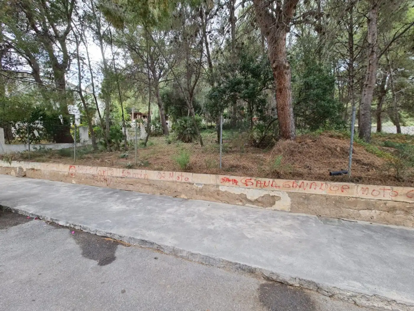 Residential land for sale in Calle AMPLE, imagen 2
