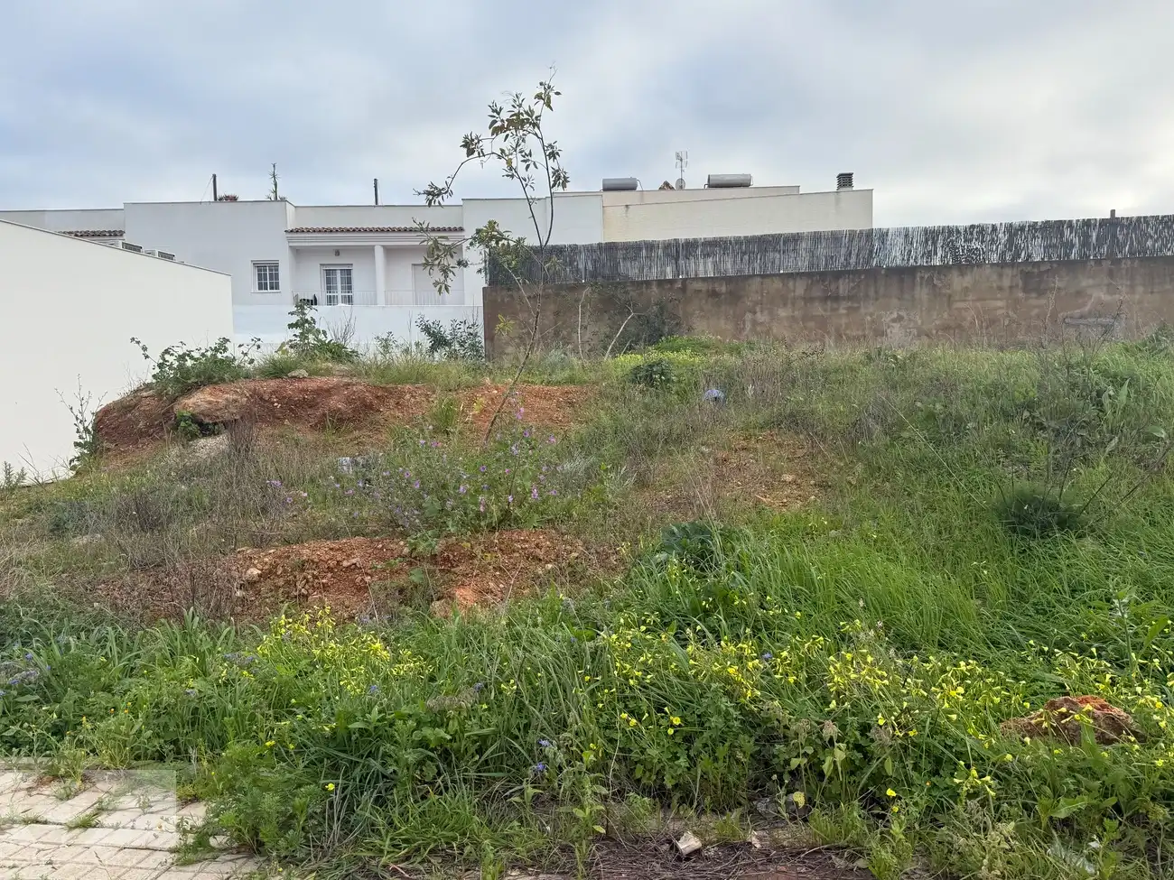 Lands and plots for sale in Rucio, imagen 2