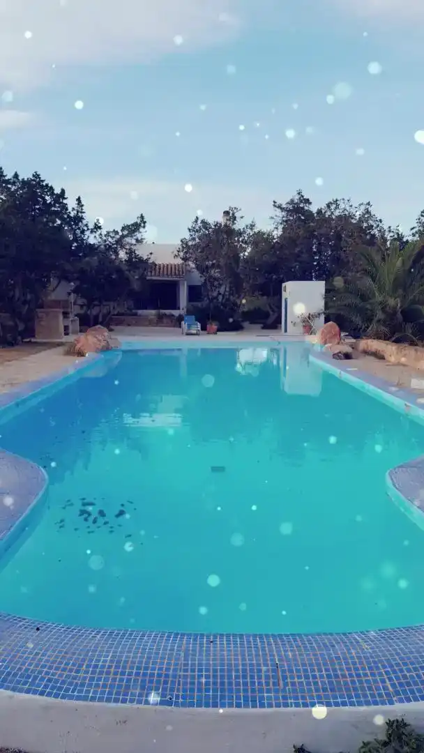 Piscina de Casa o chalet en venta en Formentera con Aire acondicionado, Jardín privado y Parquet