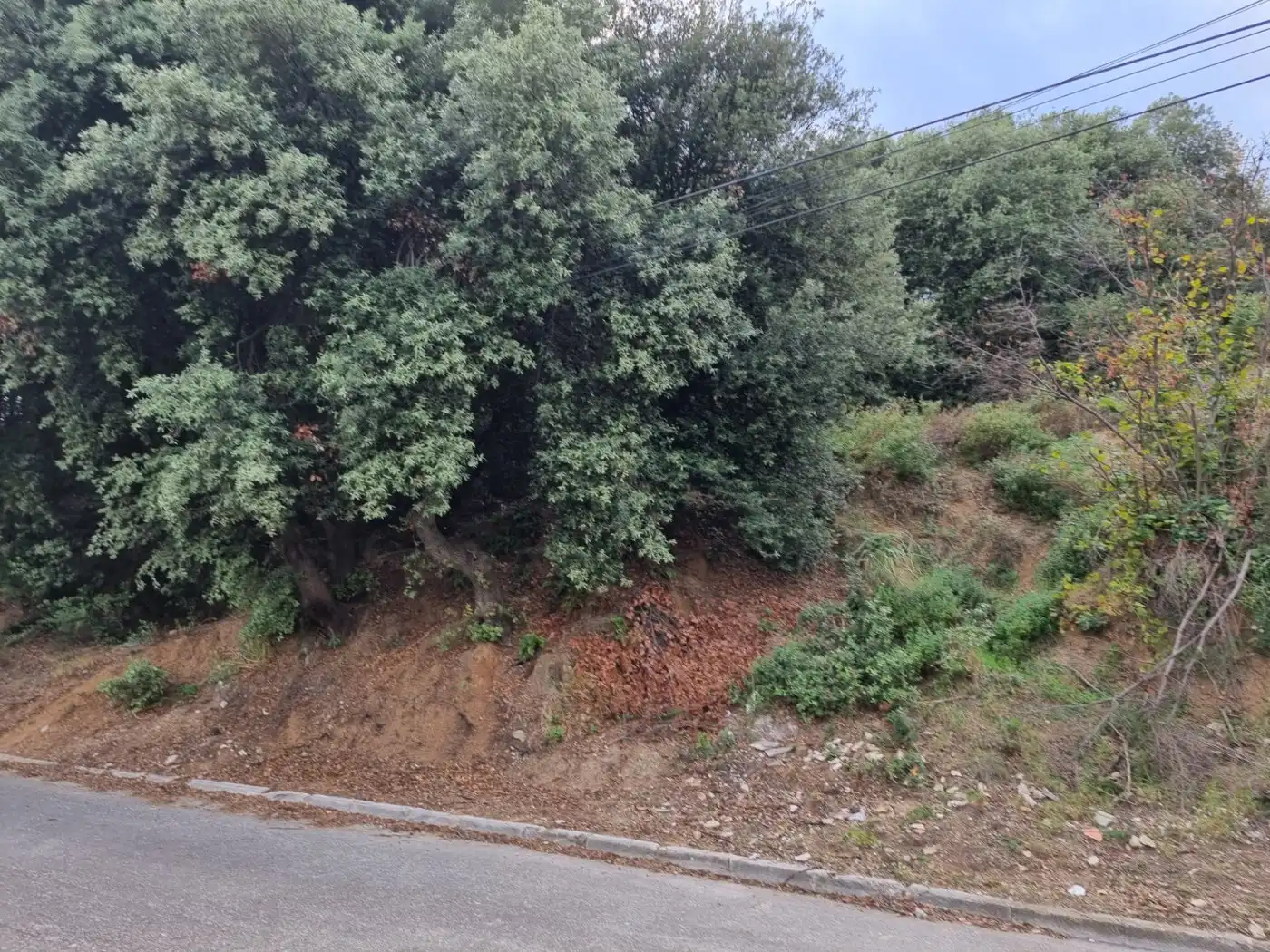 Lands and plots for sale in Calle MARGALLO, imagen 9