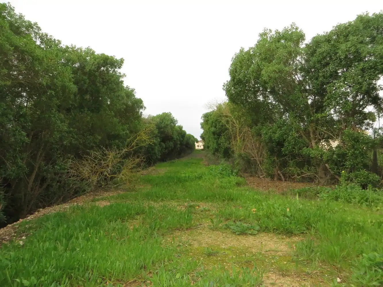 Finca rústica en venta en  Palma de Mallorca con Aire acondicionado, Calefacción y Jardín privado
