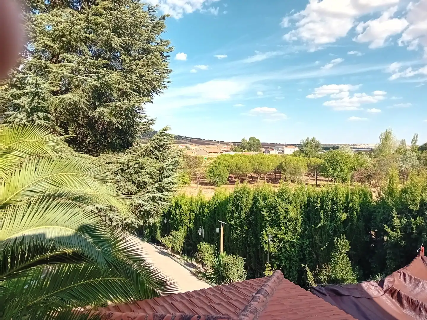 Jardín de Casa o chalet en venta en Picón con Aire acondicionado, Calefacción y Jardín privado