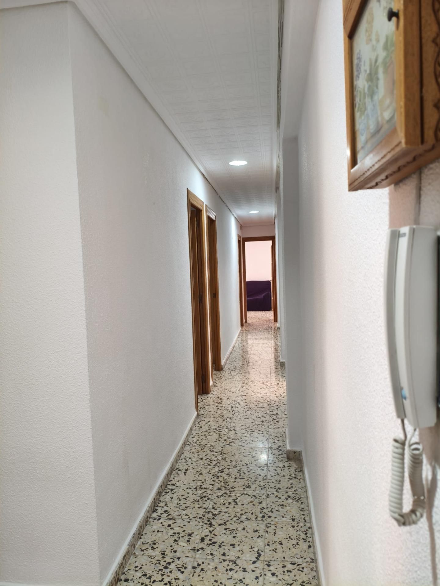Flat to share in Elche / Elx