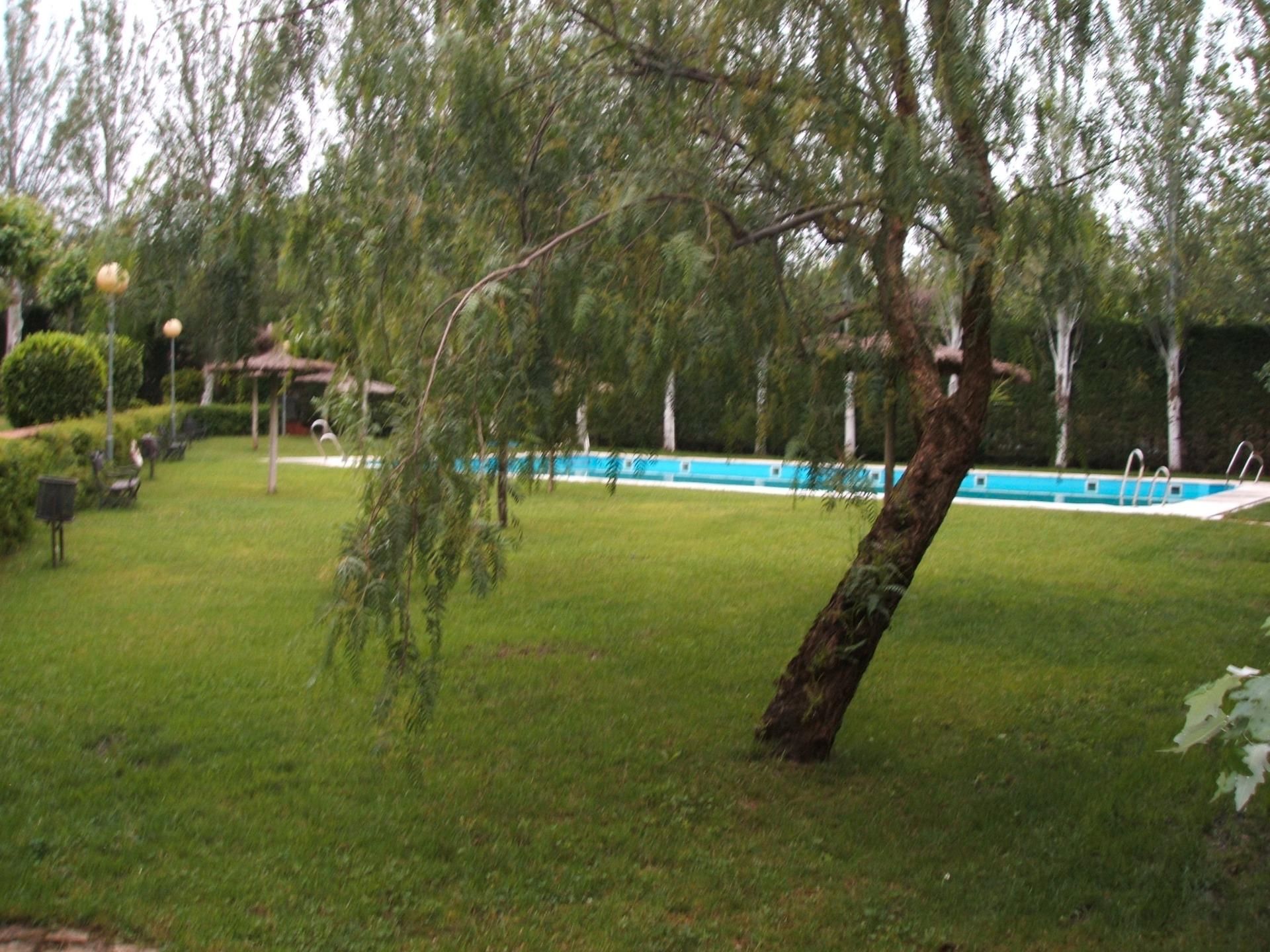 Swimming pool of Flat for rent in  Córdoba Capital  with Air Conditioner, Heating and Storage room