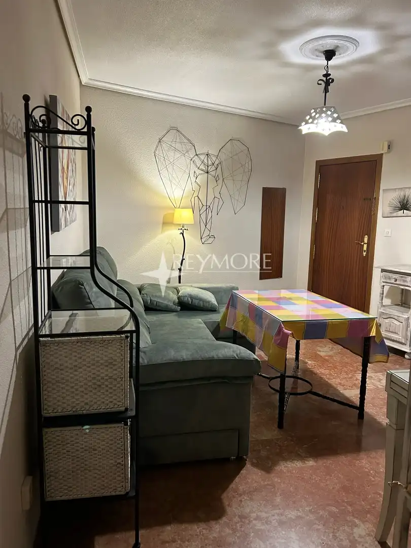 Apartament de lloguer a Zona Centro